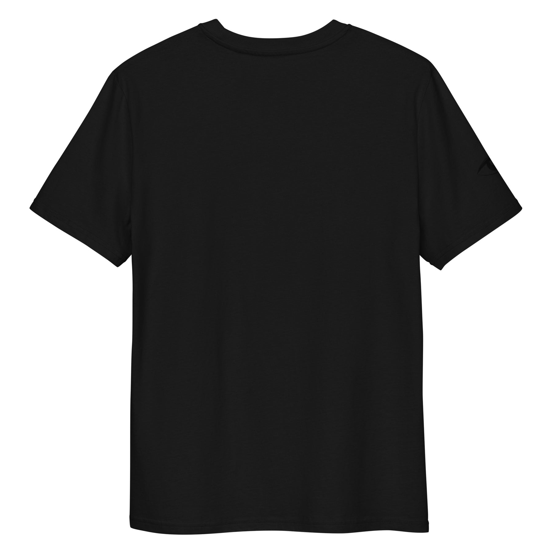 111 Blessings | T-Shirt - black